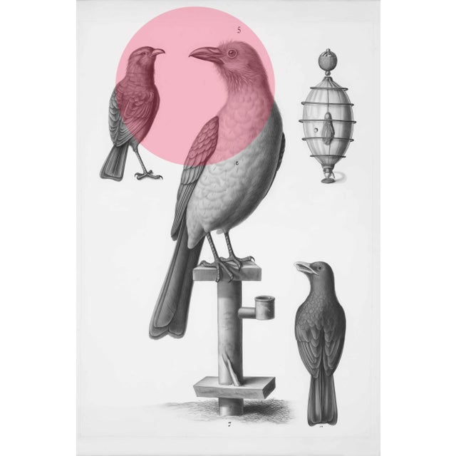 Set of 6 - High End Framed Vintage Bird Watercolor Prints With Color Accents For Sale - Image 6 of 8