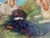 Textile English Oil on Canvas Depicting Trio of Spaniels For Sale - Image 7 of 12