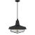 Thomas O'Brien by Visual Comfort Studio Hollis 1-Light Outdoor Large Pendant Lantern in Textured Black For Sale