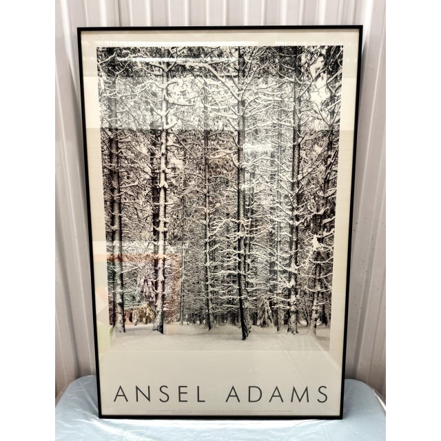 Ansel Adams 1932 Ansel Adams Pine Forest in Snow Yosemite National Park Photograph Art Print For Sale - Image 4 of 16