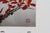Chinese Mid 20th Century Original Framed Botanic and Avian Signed Chinese Watercolor For Sale - Image 3 of 10