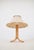 Mid-Century Modern Swedish Table Lamp by Anna Ehrner for Ateljé Lyktan, 1970s For Sale - Image 3 of 11