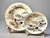 Antique Kutani Hand-Painted Plates With Pheasants and Mt. Fuji Landscape - Set of 5 For Sale - Image 9 of 9