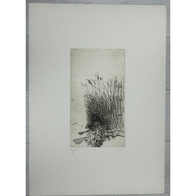 Giuseppe Zigaina, Civetta, 1978, Etching For Sale