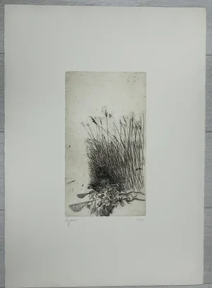 Giuseppe Zigaina, Civetta, 1978, Etching