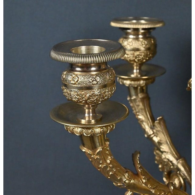 Gold Antique Candelabra in Gilt Bronze, 1800s For Sale - Image 8 of 18