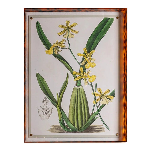 Spring Orchid IV Giclee in Tortoise Frame For Sale