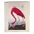 1964 Audubon Folio Lithograph Great Bird Paintings – “American Flamingo” 17x14 For Sale