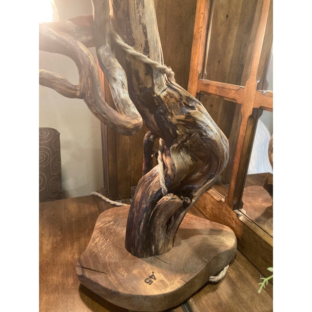 Tree Table Lamp With Live Edge Base and Root Upper. For Sale - Image 4 of 16