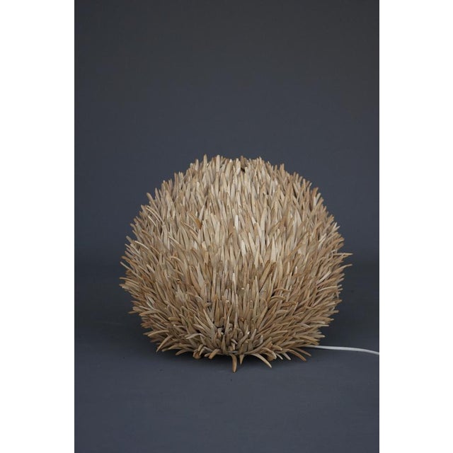 Sea Urchin Wooden Table Lamp, 1990s For Sale - Image 9 of 9