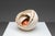 Mid-Century Modern Shell Sculpture with Orange Core, 1970s, Ceramic For Sale - Image 3 of 17