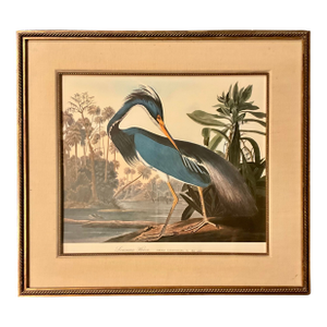 The Audubon Folio Original Print John James Audubon Louisiana Heron Double Gilt-Wood Rope Framed Linen Matte.