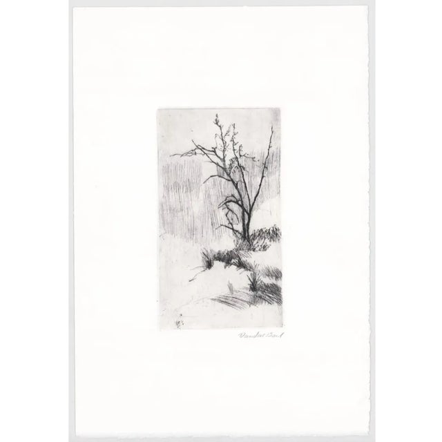 David Baird etching on paper, pencil signed.