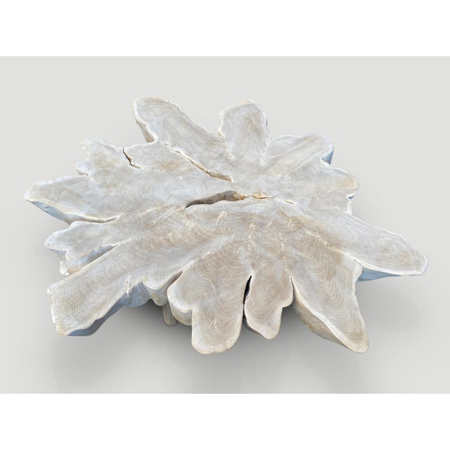 Contemporary Andrianna Shamaris Amorphous Bleached Teak Wood Organic Coffee Table For Sale - Image 3 of 6