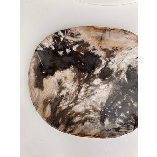 Very Large Vide-Poche or Dish in Petrified Wood For Sale - Image 9 of 18
