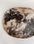 Very Large Vide-Poche or Dish in Petrified Wood For Sale - Image 9 of 18