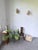 Rattan Wall Sconces by Louis Sognot, 1960, Set of 2 For Sale - Image 4 of 18