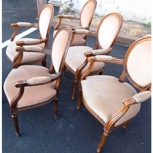 Wood Set of Six W. & J. Sloane Louis XVI Revival Walnut Oval Back Dining Armchairs, Mid-Century For Sale - Image 7 of 17