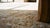 Mesmerizing Antique Persian Kerman Rug on a Ivory Background Color With Special Medallion Design For Sale In New York - Image 6 of 8
