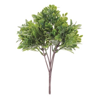 Boxwood Foliage Bush (Set of 6) For Sale