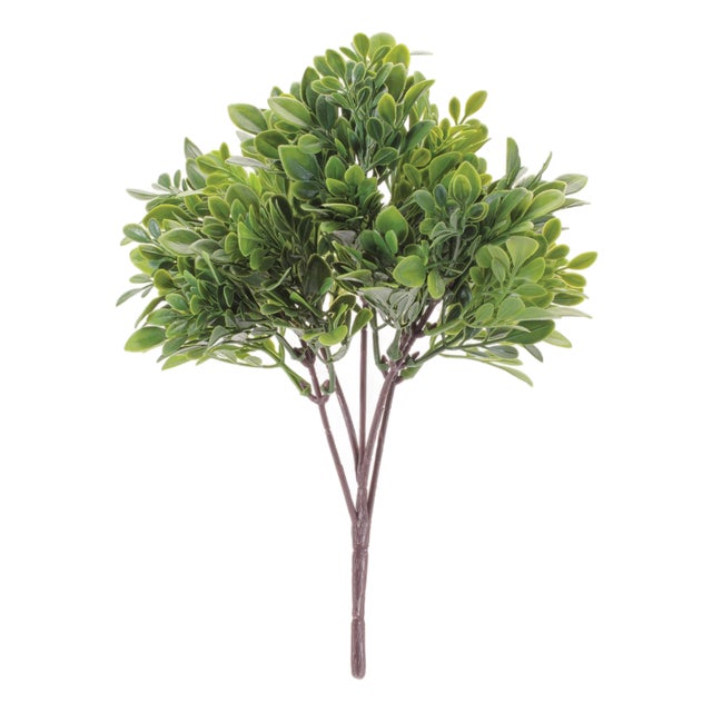 Boxwood Foliage Bush (Set of 6) For Sale