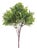 Boxwood Foliage Bush (Set of 6) For Sale