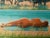 Daniel Sciora (1945-2016) Nude Around the Pool Original color lithograph Signed in pencil On Arches wove paper, 61 x 77 cm...