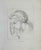 Portrait of After Raphael is an original artwork realized by Thomas Holloway (1748 - 1827). Original Etching from J.C....
