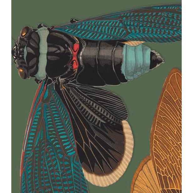 The series was produced by CFA editions from original pochior prints by E.A. Seguy. The series of insects that Seguy...