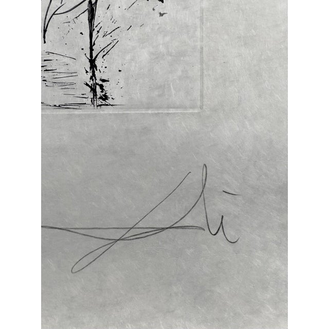 Surrealism 1960s Dali the Mythology Narcissus Hand Signed Numbered Etching Surreal Art For Sale - Image 3 of 4
