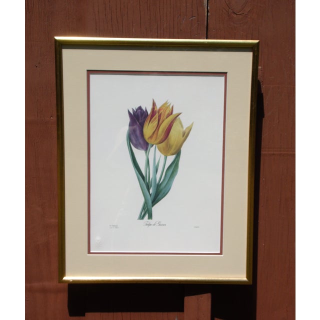 French Vintage Framed Limited Edition Redoute Botanical Lithograph Langlois Old Mission Gallery For Sale - Image 3 of 11