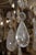 Schonbek Versailles French Louis XV Style Rock Crystal Gold 8 Light Chandelier For Sale - Image 10 of 12
