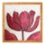 Original Framed Tulip Painting, Red Floral Wall Art, Acrylic on Canvas in Gold Bamboo Frame, 13x13 Botanical Boho Home Decor by Tatiana Duperault For Sale
