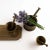 Rustic European Vintage Miniature Brass Mortar & Pestle Collection For Sale - Image 3 of 12