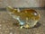 Vintage Glass Rhinoceros by Murano For Sale In New York - Image 6 of 6
