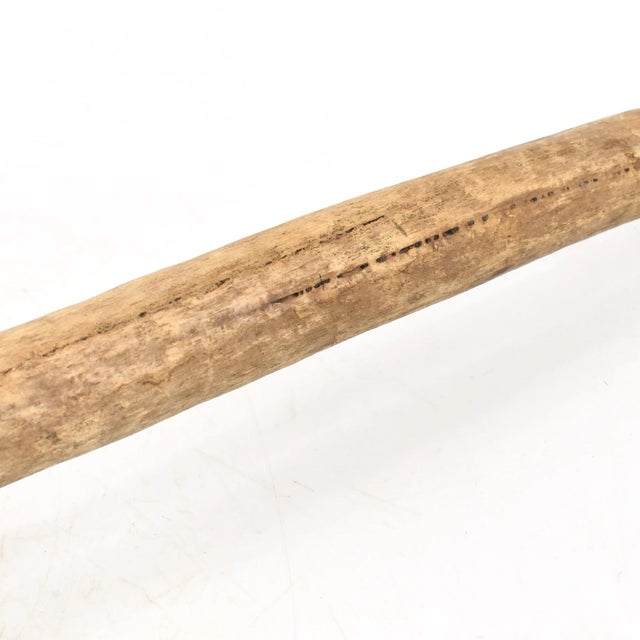 Early 20th Century Early 20th Century Mandinka Wood Spoon Stirrer Mali 37.5 inch For Sale - Image 5 of 7