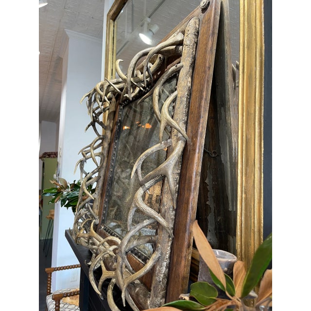 1800s Black Forest German Mirror With Roe Deer Antlers For Sale In Columbia, SC - Image 6 of 13