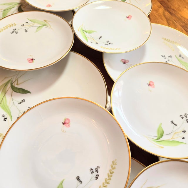 Gold Rimmed Wildflower Plates- Set of 12 For Sale - Image 6 of 10