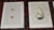 This set of twelve (12) authentic antique 19th century hand colored lithographs depicts various British birds' eggs. They...
