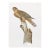 Florida Red Shouldered Hawk, 1979 Signed Lithograph by Sean Bollar For Sale