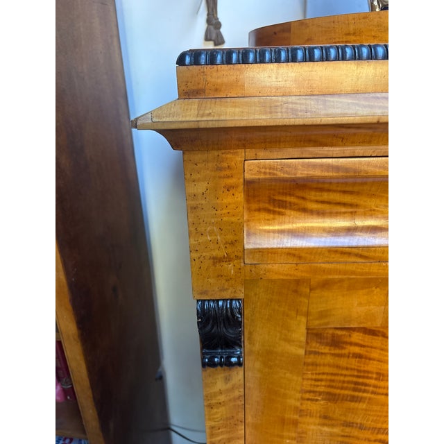Mid 19th Century Biedermeier Style Tall Cabinet For Sale - Image 11 of 15