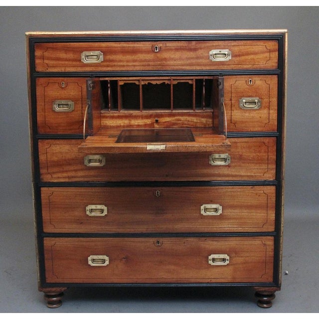 Antique Camphor Wood Secretaire Military Chest, 1840 For Sale - Image 12 of 14