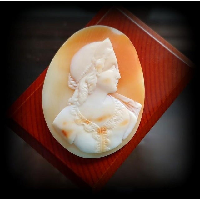 Antique Victorian Shell Cameo of Princess, Circa 1860-1890, England For Sale - Image 4 of 7