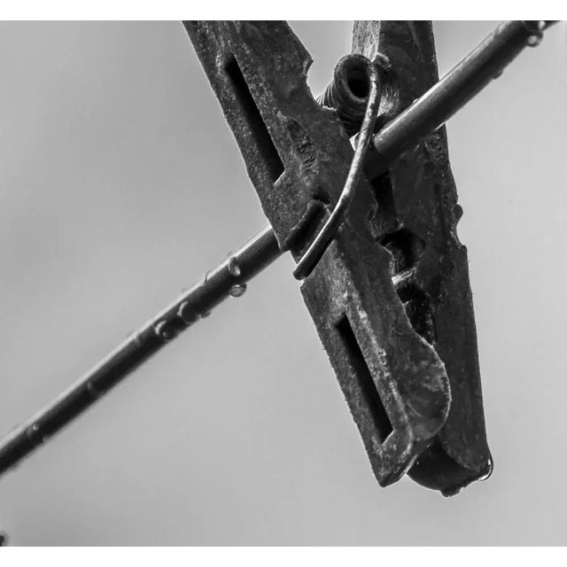 Sonia Almaguer, Serie del zaguán de Fico al patio de Matilde (1), 2015, Digital Print, in Flawless conditions. Designed...