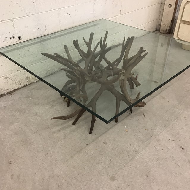 Antler Horn Glass Coffee Table Chairish