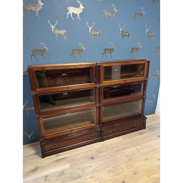 Mahogany Bookcase from Globe Wernicke, 1890s For Sale - Image 14 of 17