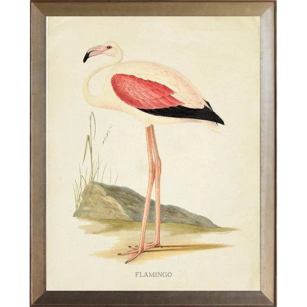 Pink Wing Flamingo in Distressed Metallic Frame 25x31 For Sale