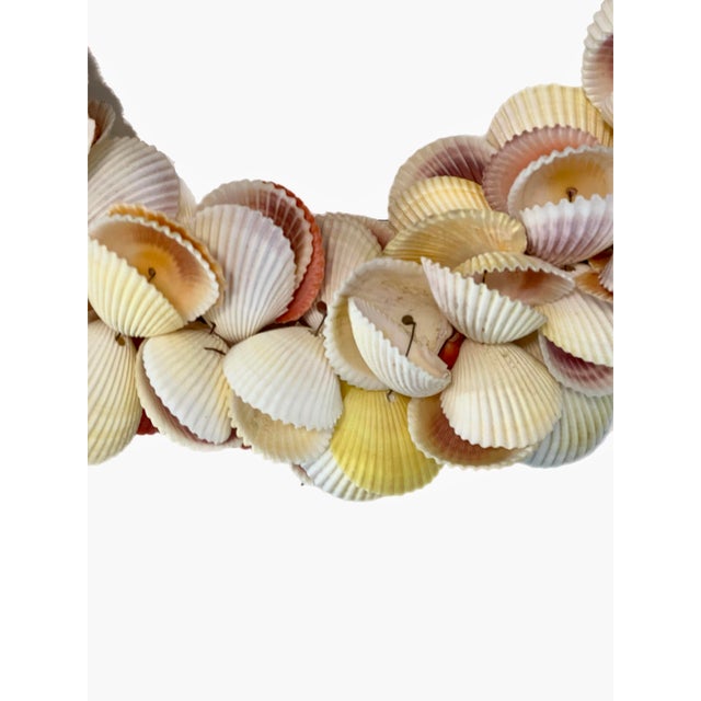Ivory Coastal Natural Sea Shell Wreath For Sale - Image 8 of 8