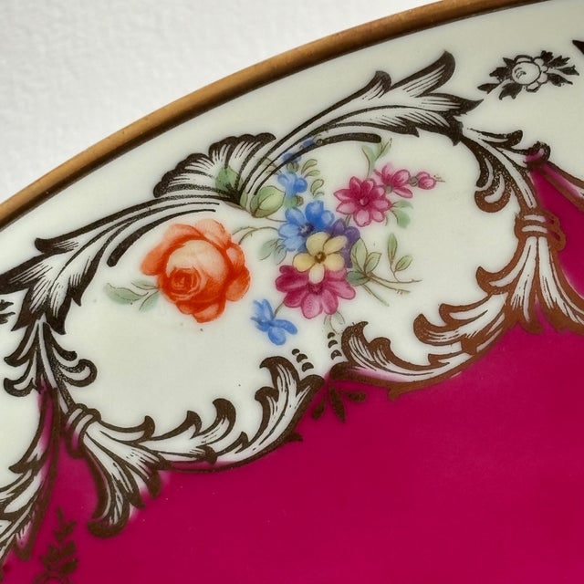 Early-20th Century Tirschenreuth Bavaria Decorative Porcelain Plate For Sale - Image 4 of 10