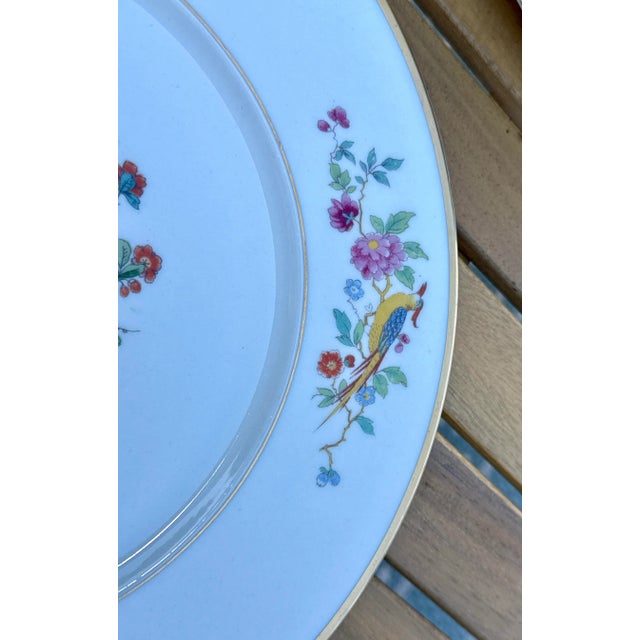 Ceramic Mid Century Lamberton China Audubon Collection - Bird of Paradise - 8 Dinner Plates For Sale - Image 7 of 13